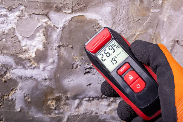 Best Best Mold Removal Companies  in Louisa, VA