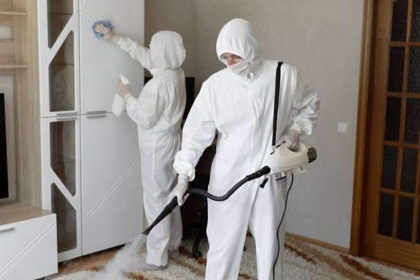 Best Certified Mold Removal  in Louisa, VA
