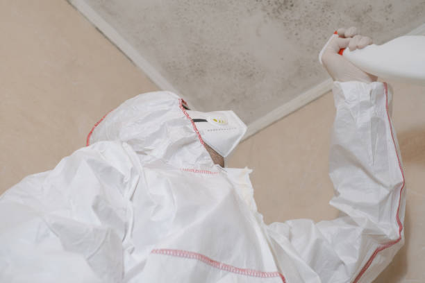 Best Attic Mold Removal  in Louisa, VA