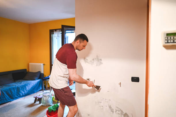Best Crawl Space Mold Removal  in Louisa, VA