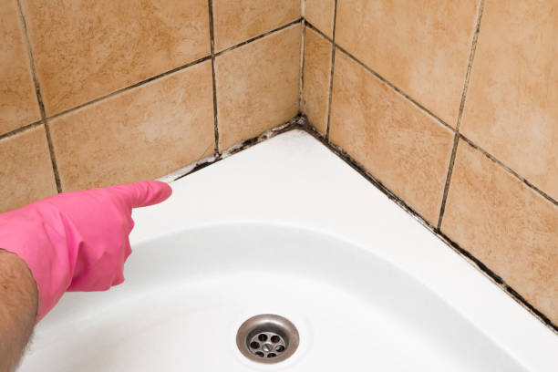 Best Emergency Mold Removal  in Louisa, VA